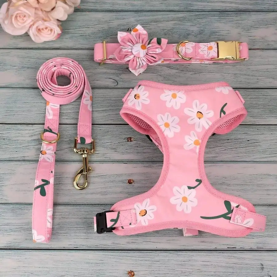 Cute Girl Dog, Puppy or Cat Collar with matching Harness and Leash
