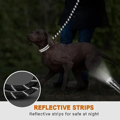 Black Reflective Rope Leash with Waste Bags
 for Medium and Large Dogs