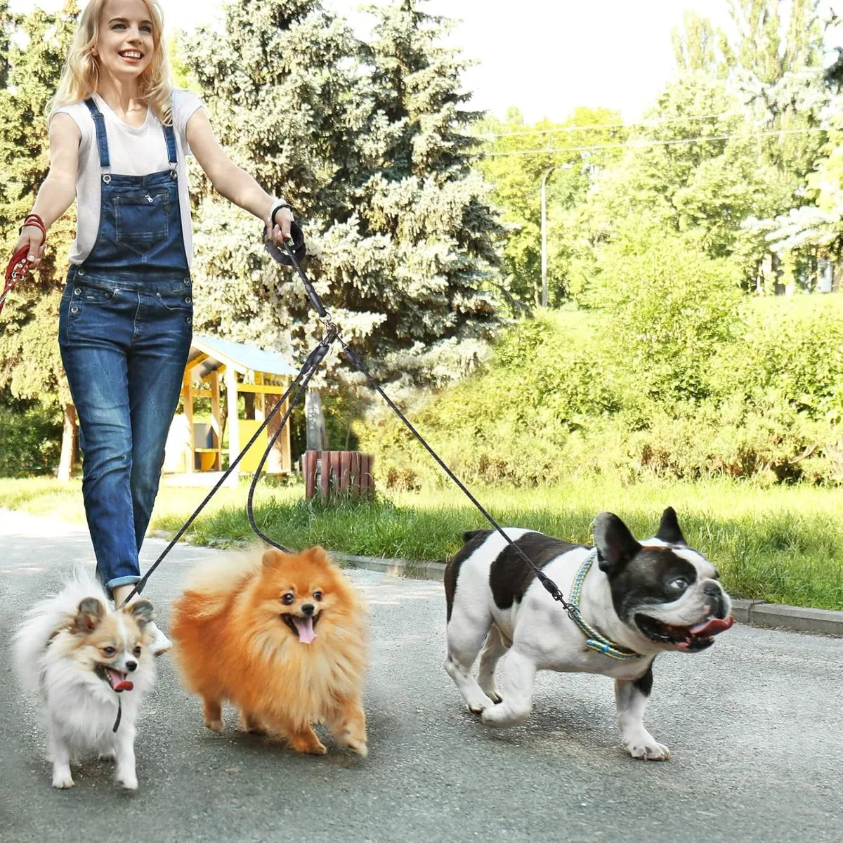 Detachable 3-in-1 Triple Dog Leash with Padded Handle
