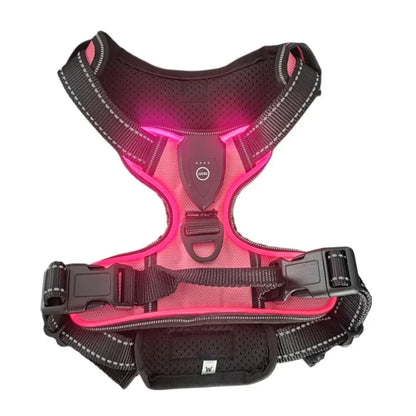 Rechargeable No Pull Led Harness for Dog, Cat, and Puppy
