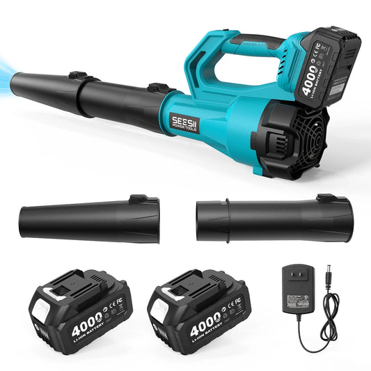 Cordless Leaf Blower for Debris and Snow
