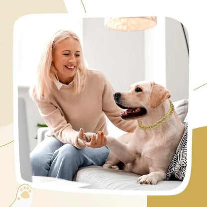 Luxury Gold Iced Chain Collar for your Pet