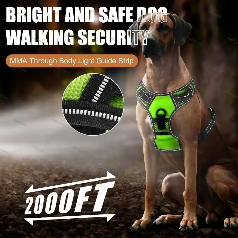 Rechargeable No Pull Led Harness for Dog, Cat, and Puppy