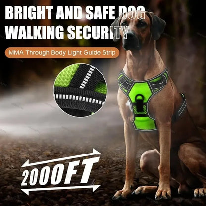 Rechargeable No Pull Led Harness for Dog, Cat, and Puppy