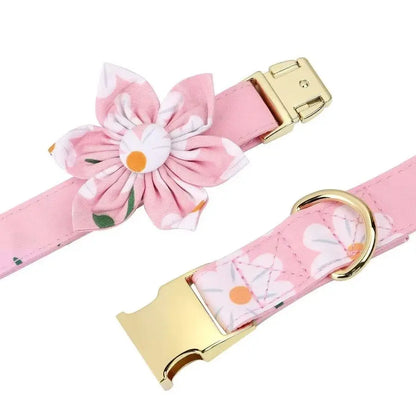 Cute Girl Dog, Puppy or Cat Collar with matching Harness and Leash