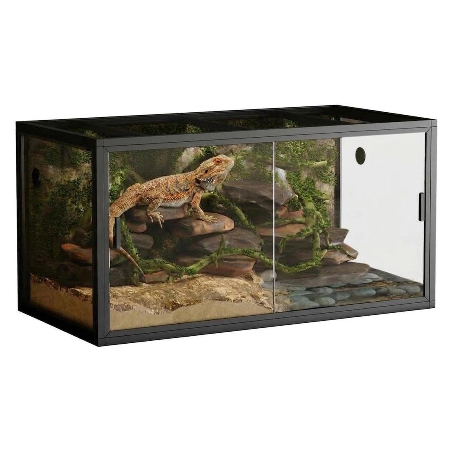 120 Gallon Reptile Terrarium with Screen Top