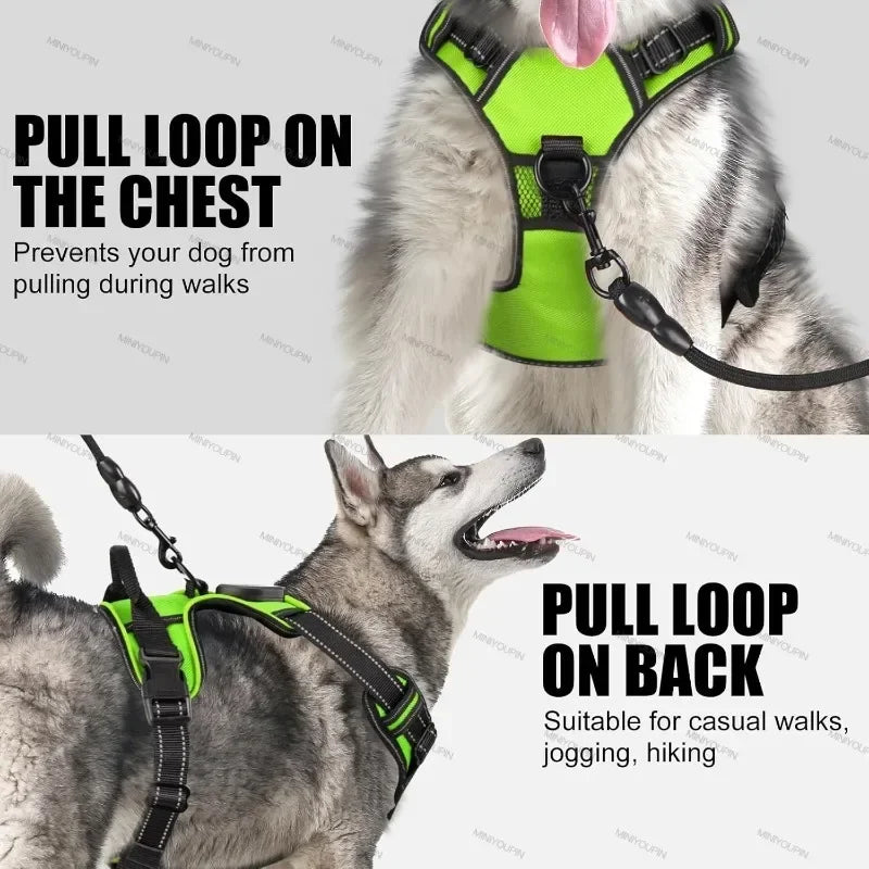 Rechargeable No Pull Led Harness for Dog, Cat, and Puppy