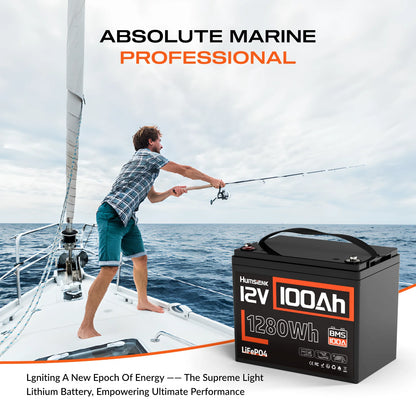 LiFePO4 Lithium 12V Battery