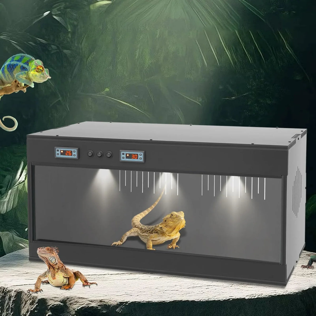 31.5x15.8x15.8 Front Opening Reptile Terrarium w/ Dual Temperature Controller and Feeding Box w/ Glass Sliding Door