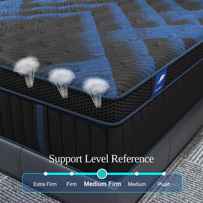12" Gel Memory Medium Firm Foam Hybrid Pocket Spring Mattress for Twin, Full, Queen, or King Bed with Motion Isolation