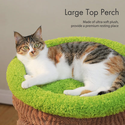 Luxurious Large Cat Tree with 2 or 4 Spacious Condos and a detachable toy for your cat or cats enjoyment!