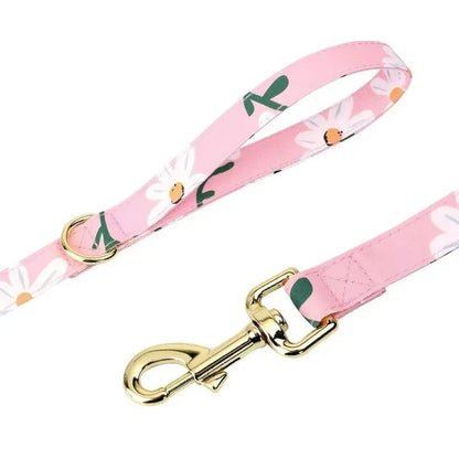 Cute Girl Dog, Puppy or Cat Collar with matching Harness and Leash