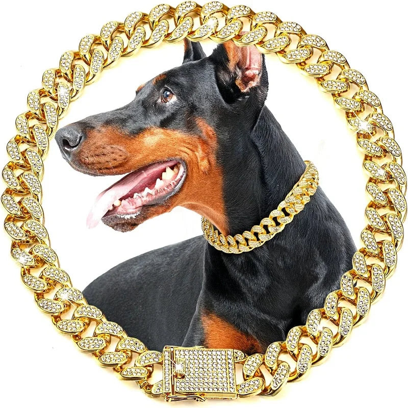 Luxury Gold Iced Chain Collar for your Pet