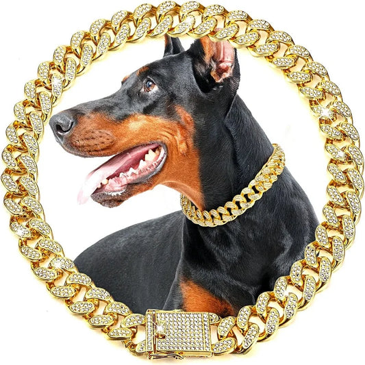 Luxury Gold Iced Chain Collar for your Pet