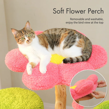 Luxurious Large Cat Tree with 2 or 4 Spacious Condos and a detachable toy for your cat or cats enjoyment!