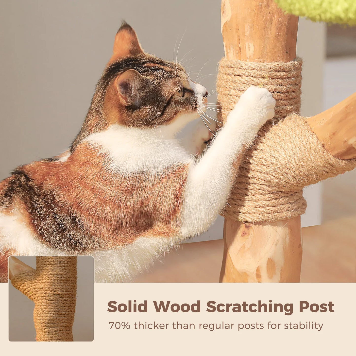 Luxurious Large Cat Tree with 2 or 4 Spacious Condos and a detachable toy for your cat or cats enjoyment!