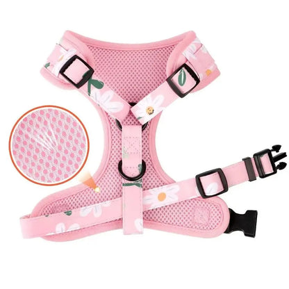 Cute Girl Dog, Puppy or Cat Collar with matching Harness and Leash