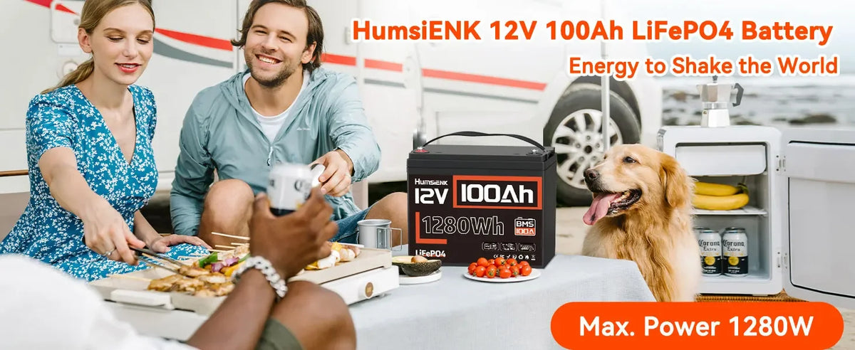 LiFePO4 Lithium 12V Battery