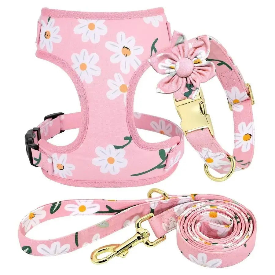 Cute Girl Dog, Puppy or Cat Collar with matching Harness and Leash