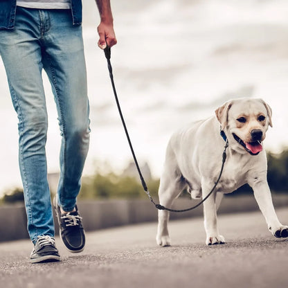 Detachable 3-in-1 Triple Dog Leash with Padded Handle