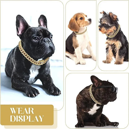 Luxury Gold Iced Chain Collar for your Pet