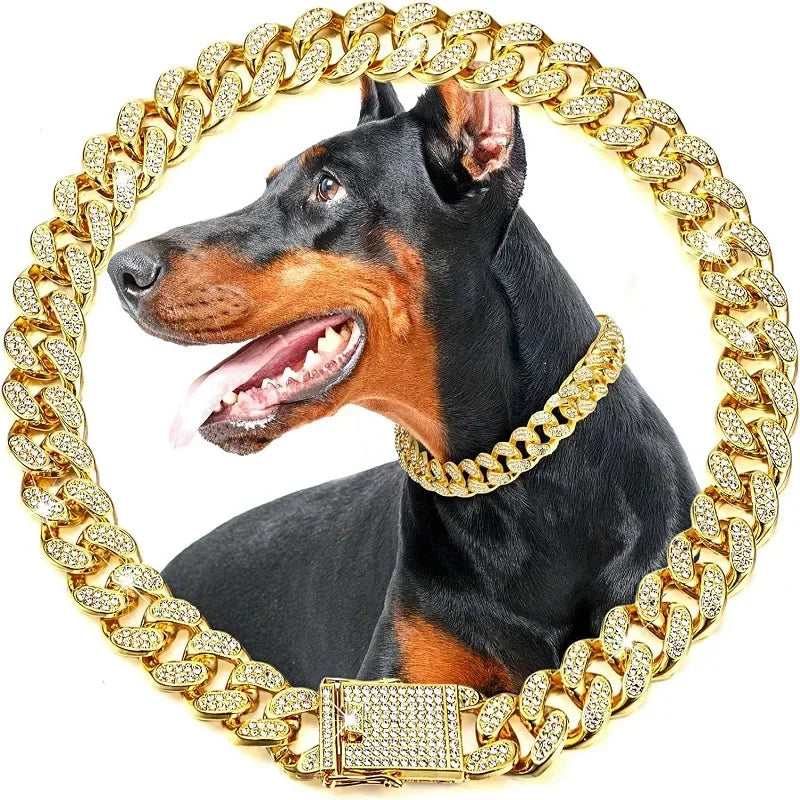 Luxury Gold Iced Chain Collar for your Pet
