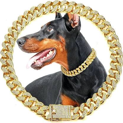 Luxury Gold Iced Chain Collar for your Pet