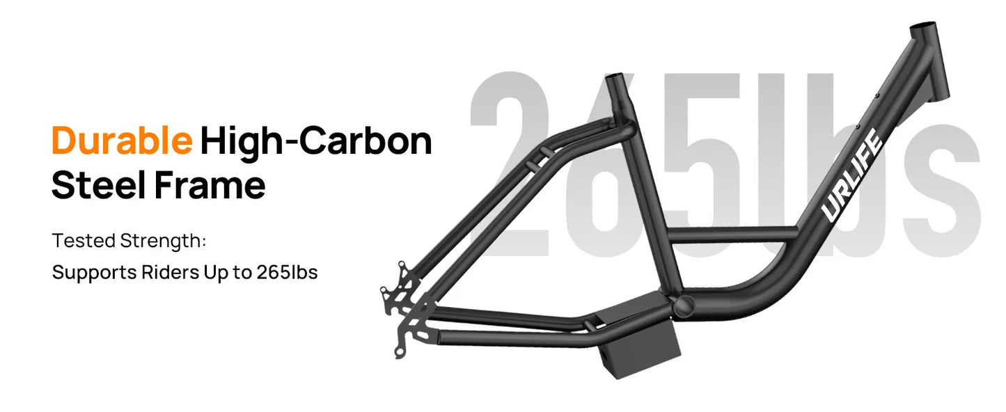 1000W E20 7 Speed Electric Bike with 20" Fat Tires,48V 13Ah Removable Battery, and Dual Disc Brakes